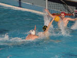 Piacenza Pallanuoto