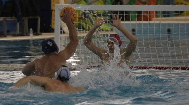 Piacenza pallanuoto 2018