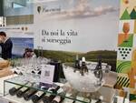 Vinitaly Colli Piacentini