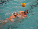 Piacenza pallanuoto