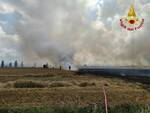 incendio campo di grano