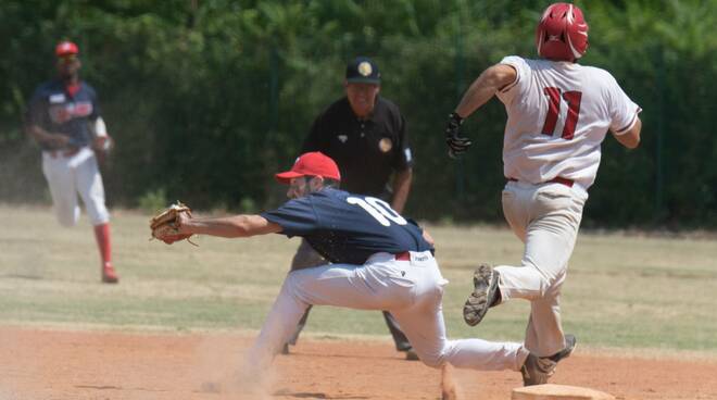 baseball piacenza