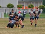 omnia rugby