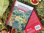 camminate autunno