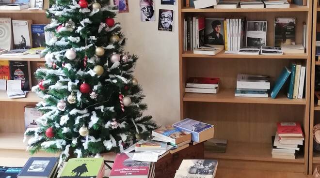 un libro sotto l'albero