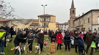 Il corteo degli animali a S.Antonio