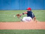 Piacenza Baseball