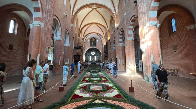 Infiorata Chiaravalle della Colomba