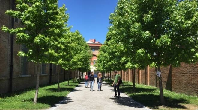 Politecnico Piacenza