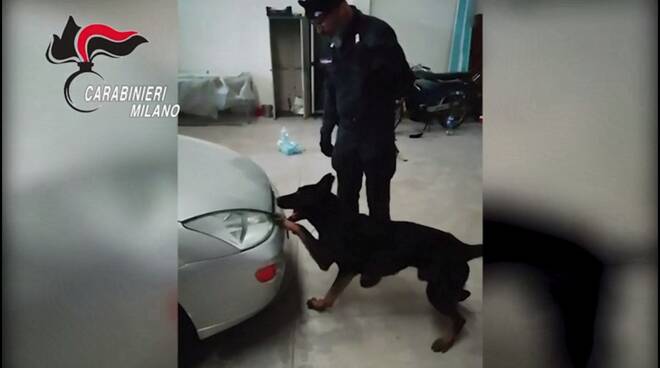 droga carabinieri nascosta eroina cani