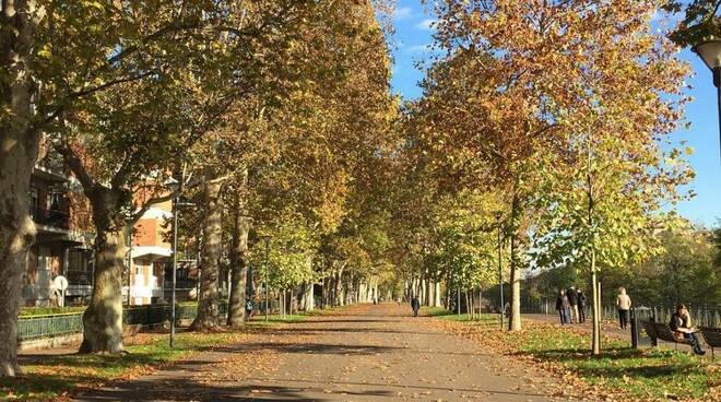 Facsal autunno