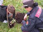 giornata nazionale degli alberi