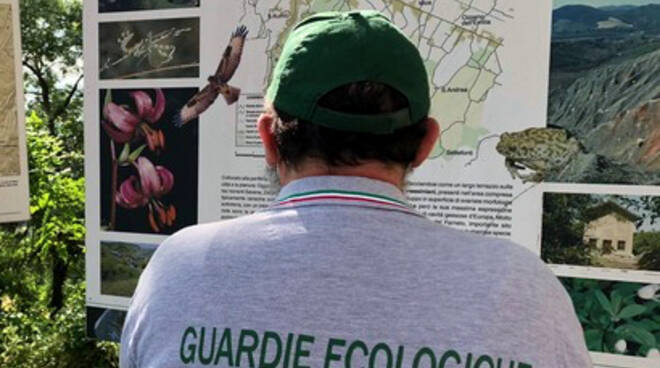 Guardie ecologiche (foto da www.federgev-emiliaromagna.it)