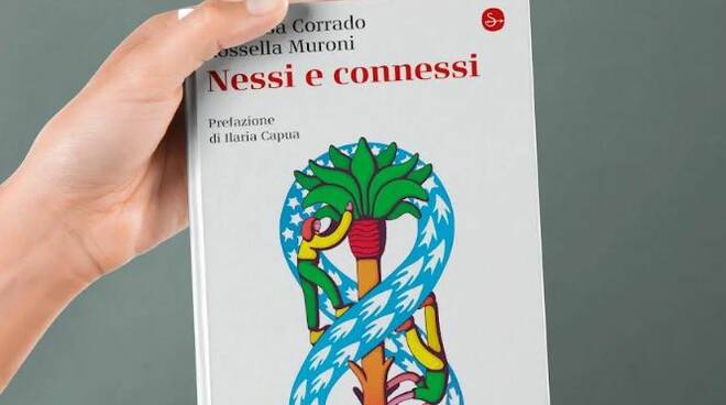 nessi e connessi