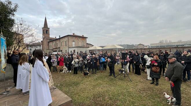 Sfilata degli animali a S. Antonio