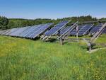 fotovoltaico agrivoltaico