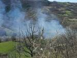 Incendio bosco Cicogni 