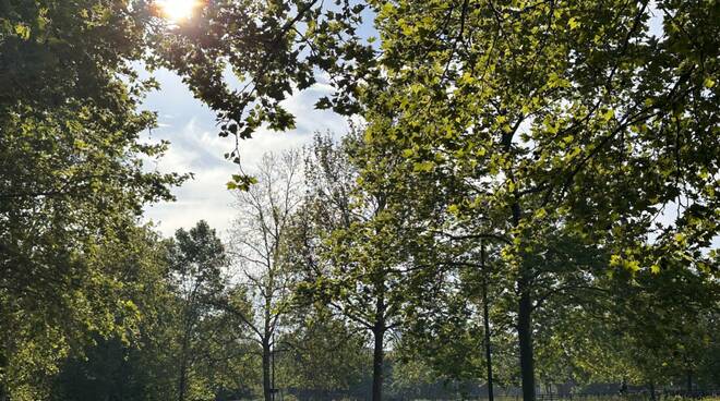 meteo cielo sereno poco nuvoloso primavera alberi facsal