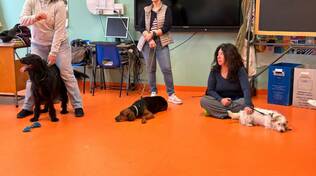 pet therapy fiorenzuola rotary