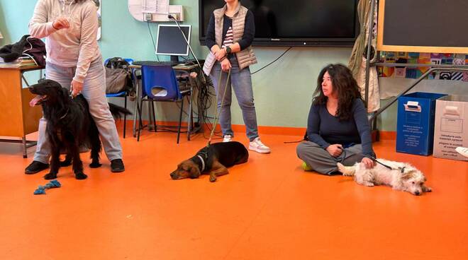 pet therapy fiorenzuola rotary