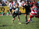 rugby lyons giovanili